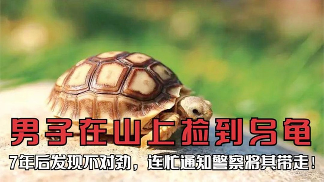 最新资讯 第57页