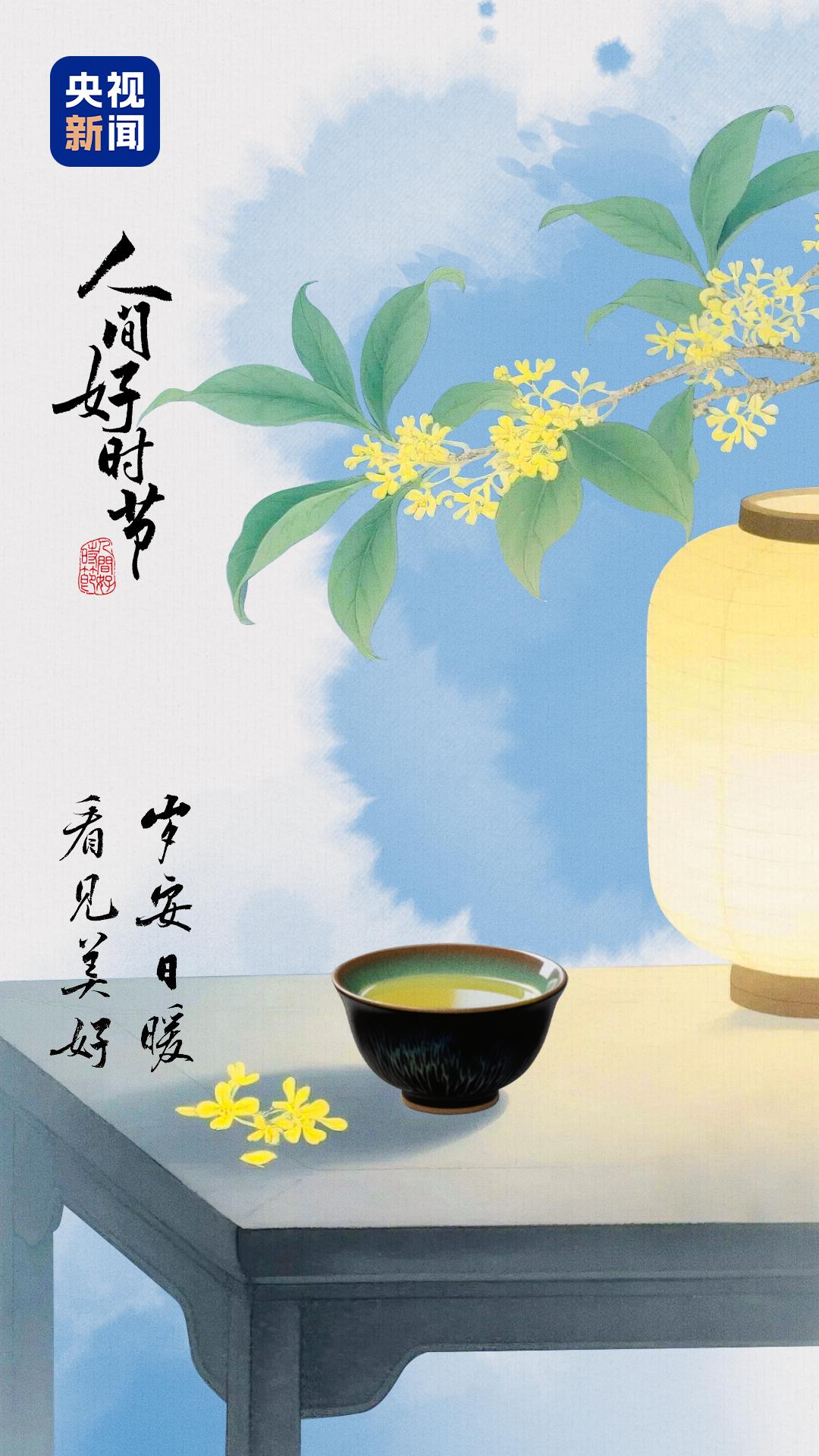 白露：乘风行 品清欢白露，乘风行，品清欢